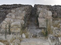 Yacimiento de la Almoloya 2023